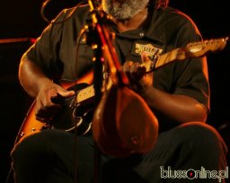 Alvin Youngblood Hart by Grzegorz Ciszewski (12)